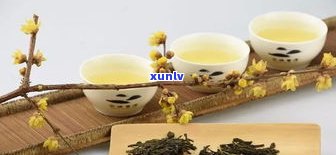 普洱茶哪个好-普洱茶哪个好喝一点