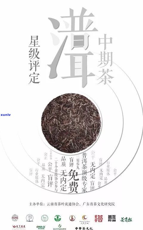 双子塔号研究院普洱茶是否有收藏价值？从官网了解纯手工野生茶普洱特性