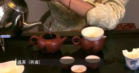 茶道普洱茶冲泡 *** 视频教程全解析