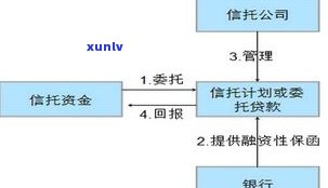 回流品：定义、含义及购买风险解析