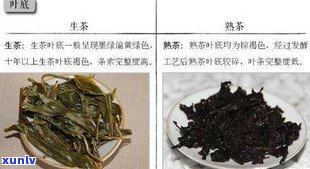 普洱茶有绿色的吗-普洱茶有绿色的吗图片