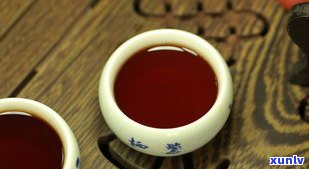 去西双版纳买普洱茶一般在哪买比较好？普洱茶场及价格全揭秘！