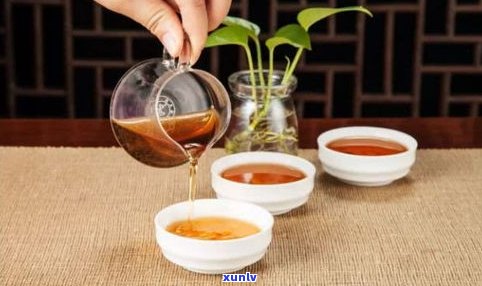 去西双版纳买普洱茶一般在哪买比较好？普洱茶场及价格全揭秘！