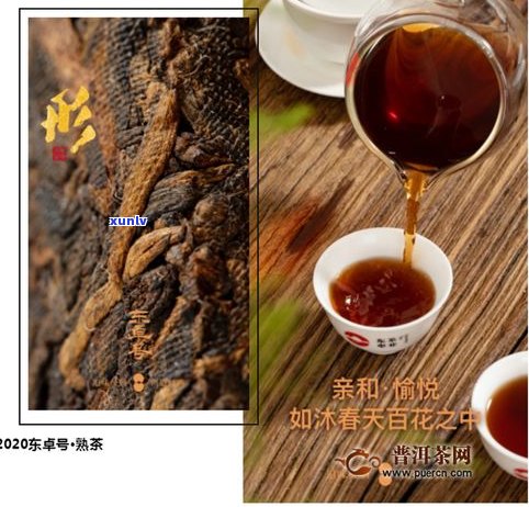 去西双版纳买普洱茶一般在哪买比较好？普洱茶场及价格全揭秘！