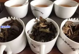 西双版纳购普洱茶-西双版纳买普洱茶