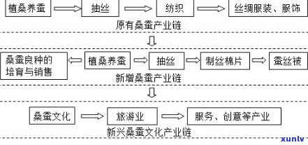 拉祜族普洱茶：品种、特点及归属介绍