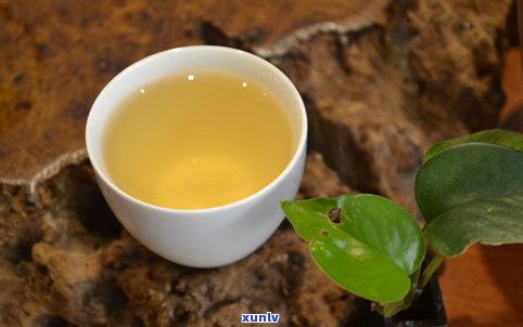 云雾古茶普洱生茶多少钱？了解云雾茶、普洱茶及云雾古树茶的价格信息