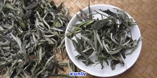 比较分析：白茶与普洱茶口感区别及好坏