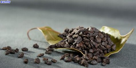 普洱茶也称为什么名字？探究普洱茶的历与别名