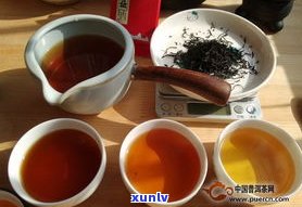 普洱茶放茶壶里泡好吗？可存放多久？能否隔夜饮用？