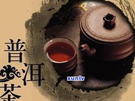 普洱茶批发哪里价格更低？全网最全的场、批发商及茶叶信息一网打尽！