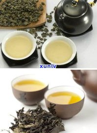 青茶的功效与作用：全面解析及其禁忌、副作用与选购指南