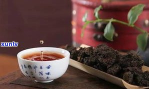 倚邦猫耳朵普洱茶：茶区、图片、口感与特点，2020年及古树茶价格全解析