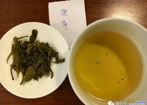 倚邦猫耳朵普洱茶多少钱一斤？产地、口感与特点全解析