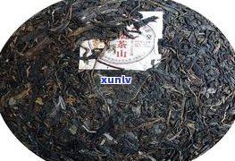 西普洱茶供应商-西普洱茶叶场