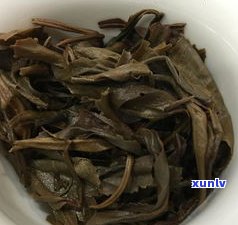 普洱茶籽能榨油吗？视频详解教程全在这里！