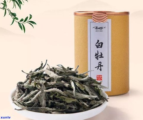 云南普洱茶耐存吗？现在是不是能喝？