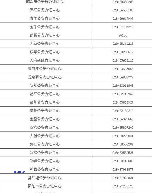 金牡丹茶叶价格查询：官网、表、网一应俱全，尽在70字以内！