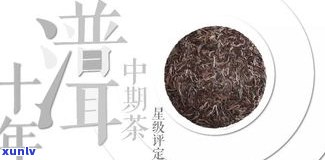 中期普洱茶的缺点解析：特性和问题全了解