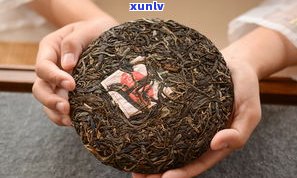 中期普洱茶的缺点解析：特性和问题全了解