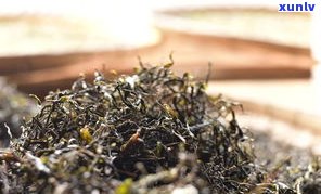 明朝的普洱茶多少钱一斤：历、贡茶与价格全解析