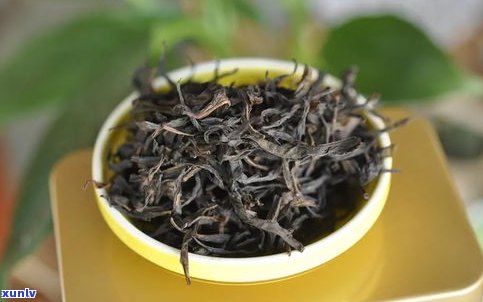 明朝普洱茶能喝么-普洱茶 明朝