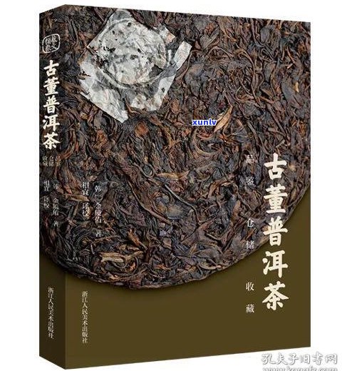 包头的普洱茶推荐