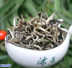 普洱茶月光白：生茶还是熟茶？探讨其品种与特点