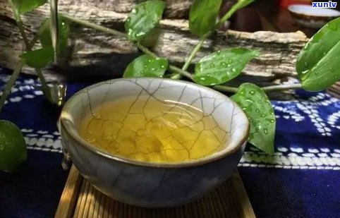 月光白普洱茶：特点、生茶功效与白茶属性一览