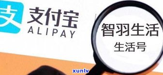 欠网贷5万三年未还，会坐牢吗？——知乎讨论与解决方案