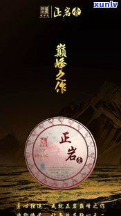 遮云避日普洱茶：诠释茶之美，探索茶之道