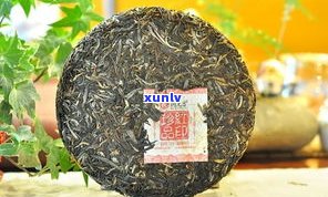 遮云避日普洱茶：诠释茶之美，探索茶之道