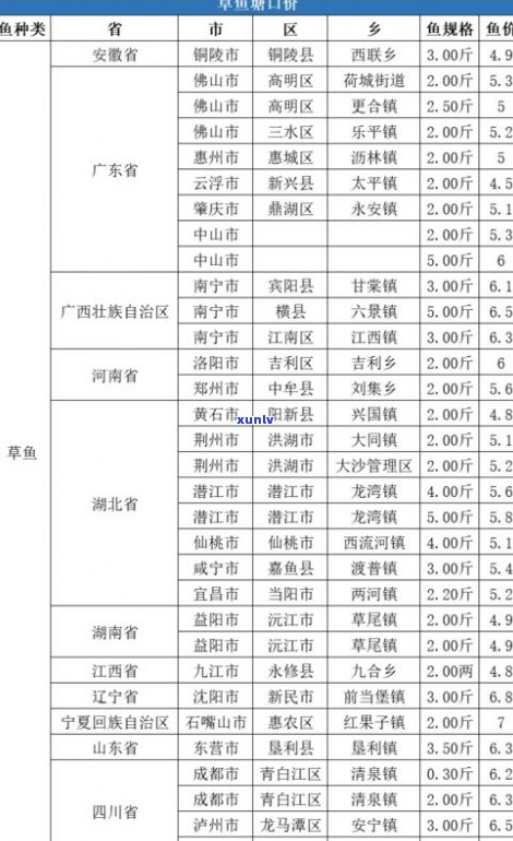 普洱茶价格全览：多少钱一斤？查询、对比一网打尽！