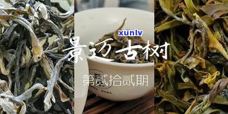 普洱茶百科邦崴山-邦崴山古树普洱