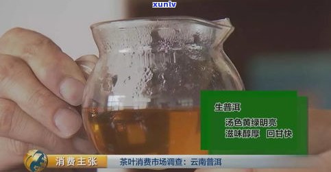 普洱茶一级价格查询：多少钱一斤？