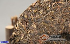 央视普洱茶录片2019：大型专题记录，深入探索中国茶文化