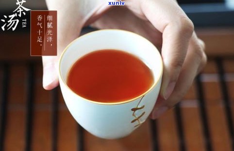 普洱茶怎么没有味道？口感淡薄，缺少茶香