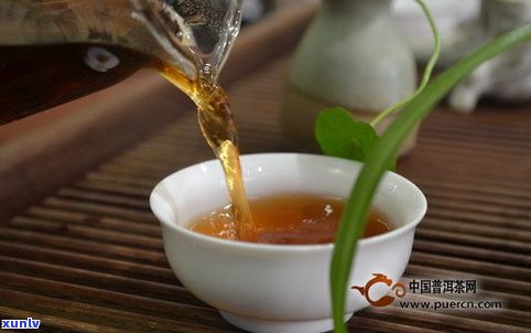 怎样泡古树普洱茶好喝：简单实用的泡法全攻略