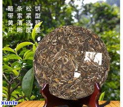 如何泡古树普洱茶？详细步骤与技巧分享