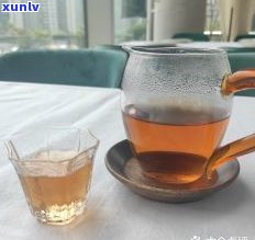 如何泡古树普洱茶-如何泡古树普洱茶好喝