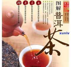 普洱茶的讲解 *** -普洱茶的讲解 *** 视频