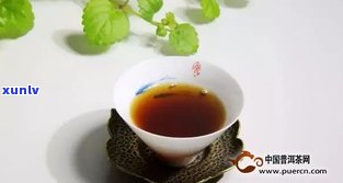 普洱茶的苦涩味：原因解析