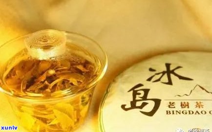 普洱茶怎么会苦？能喝吗？原因解析与饮用建议