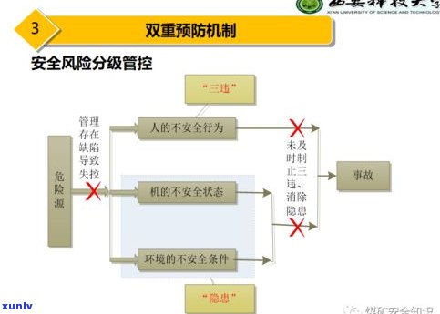 普洱茶车间：净化标准与生产流程解析