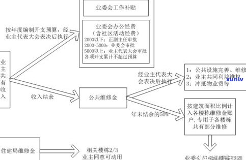 普洱茶车间：净化标准与生产流程解析