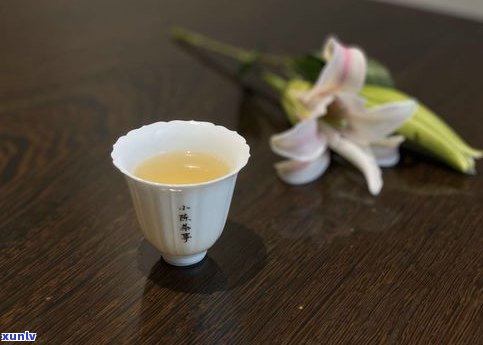 江普洱茶怎么喝-江普洱茶怎么喝才好喝