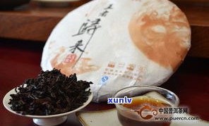 江普洱茶怎么喝-江普洱茶怎么喝才好喝