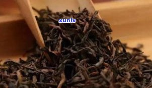 新普洱茶吧：了解新普洱茶价格与价值