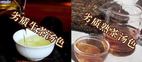 诜茶价格及其功效通三元，诜堂养生茶品质怎样？普洱茶及茶价格解析