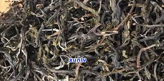 普洱茶头春茶价格多少？了解最新市场价格及品质评估